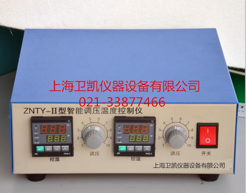 智能调压控温仪