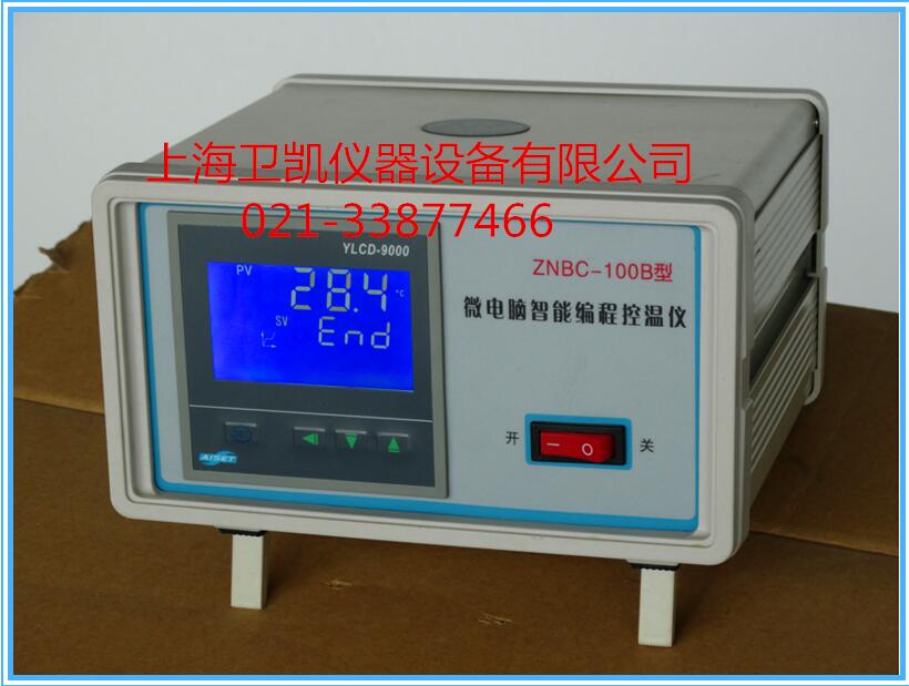 100段智能液晶编程控温仪