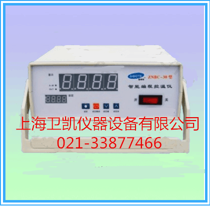 30段智能编程控温仪