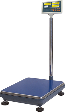 超大称量电子天平