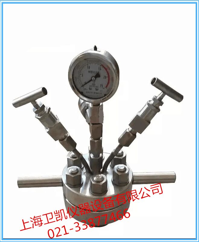 简易型小型不锈钢高压反应釜