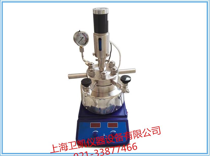 台式电动搅拌高压反应釜
